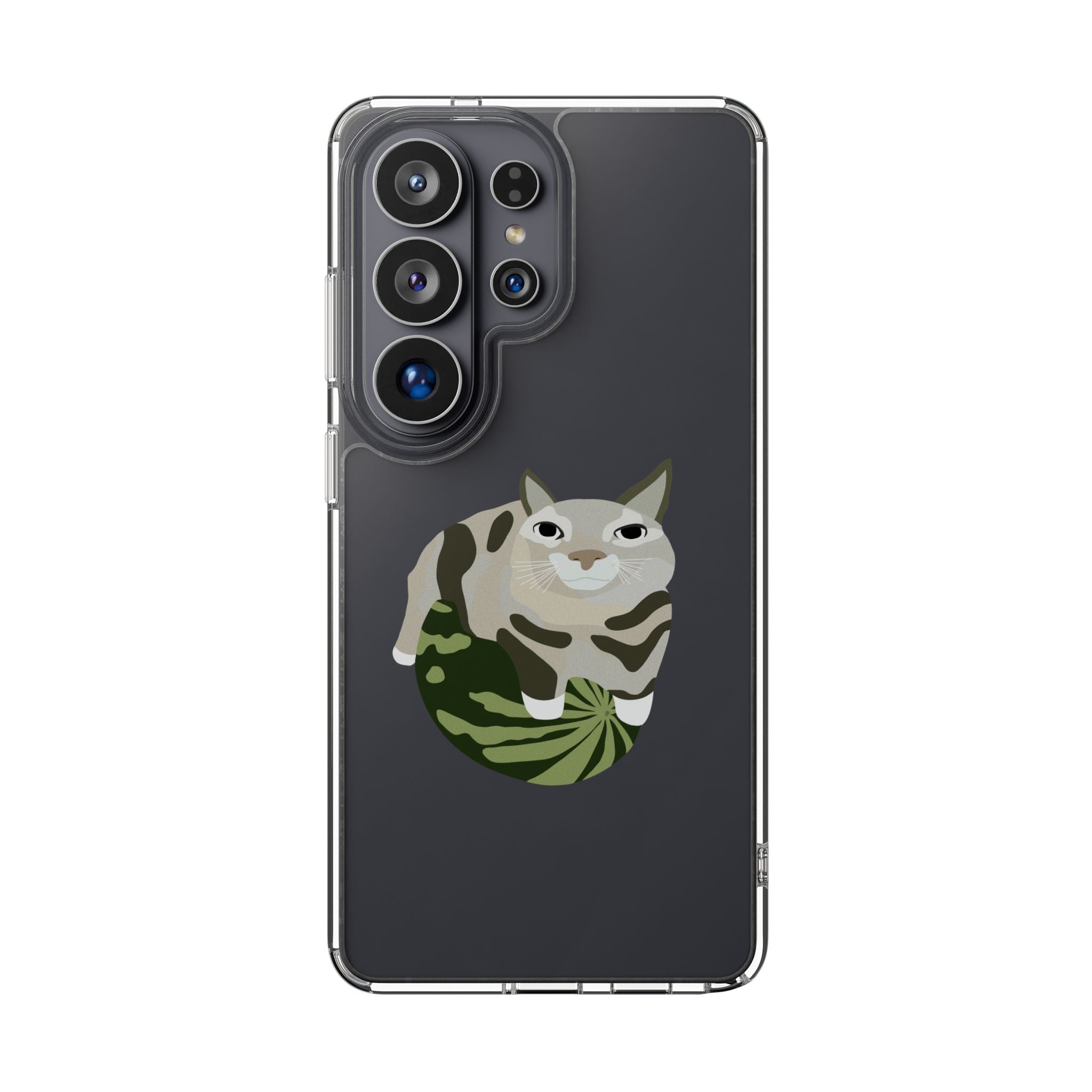WATERMELON CAT Transparent Phone Case