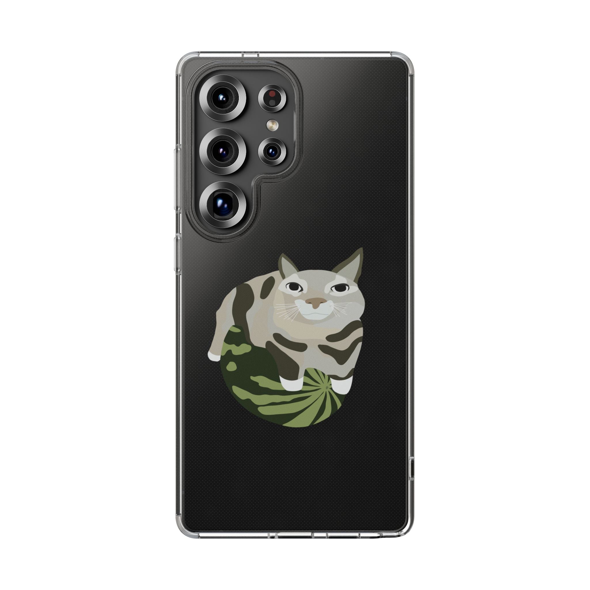 WATERMELON CAT Transparent Phone Case